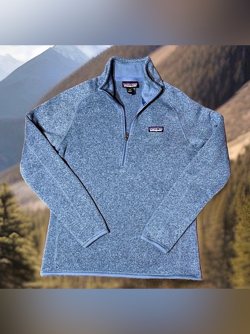 Patagonia Womens Better Sweater 1/4 Zip Pullover Blue Heather Medium 25618